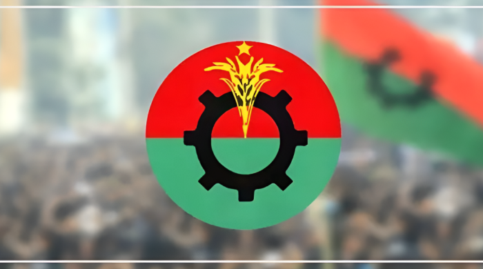 বিএনপি, নির্বাচন, একক প্রার্থী, তারেক রহমান, খন্দকার মোশাররফ, সালাহউদ্দিন আহমদ, রাজনীতি, বাংলাদেশ নির্বাচন