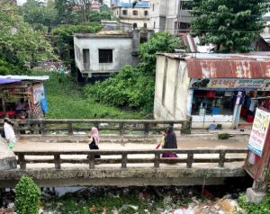 নারায়ণপুর খাল, চাঁদপুর, মতলব দক্ষিণ, খাল দখল, জলাবদ্ধতা, পরিবেশ দূষণ, নদী পুনরুদ্ধার, স্থানীয় সমস্যা, জনস্বাস্থ্য, খাল রক্ষা