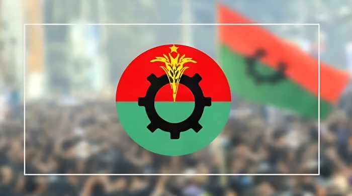 বিএনপি, একক প্রার্থী, ত্রয়োদশ জাতীয় সংসদ নির্বাচন, নির্ভার বিএনপি, মির্জা ফখরুল, ঢাকাসহ ৬০ আসন, মনোনয়ন, ভোট প্রস্তুতি, নির্বাচন প্রচারণা, দলীয় সমন্বয়