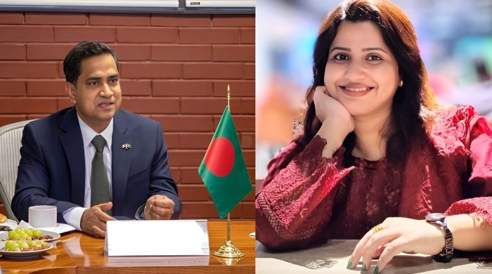 ন্যান্সি, মুশফিকুল ফজল আনসারী, মেক্সিকো রাষ্ট্রদূত, আবেগঘন স্ট্যাটাস, ফেসবুক পোস্ট, বাংলাদেশি কূটনীতিক, মানবাধিকার