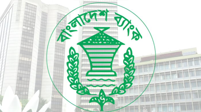 বাংলাদেশ ব্যাংক, ব্যাংক রেজল্যুশন অধ্যাদেশ ২০২৫, শেয়ারহোল্ডার ক্ষতিপূরণ, দুর্বল ব্যাংক, ব্যাংক একীভূতকরণ, আইএমএফ, বিশ্বব্যাংক, বিসিএমসি