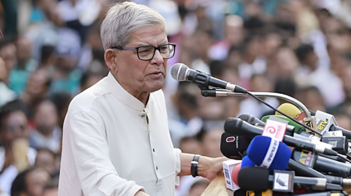 ফখরুল ইসলাম আলমগীর, বিএনপি, নির্বাচন ব্যাহত, অন্তর্বর্তী সরকার, জাতীয় বিপ্লব ও সংহতি দিবস, নয়াপল্টন র‌্যালি