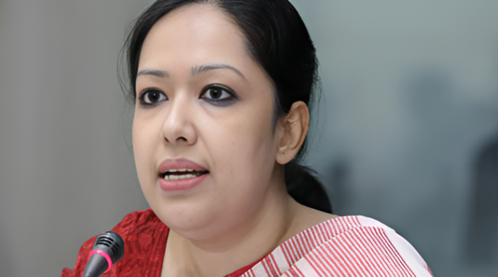 ব্রাহ্মণবাড়িয়া-২, রুমিন ফারহানা, বিএনপি মনোনয়ন, জাতীয় নির্বাচন, সরাইল, আশুগঞ্জ, বিজয়নগর