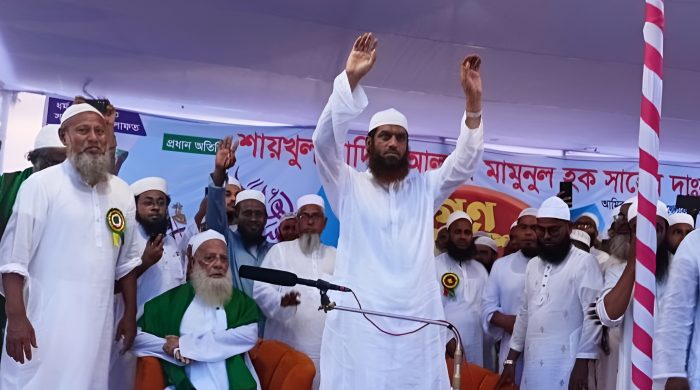 মামুনুল হক, জুলাই সনদ, গণভোট, সংসদ নির্বাচন, খেলাফত মজলিস, কলমাকান্দা সমাবেশ, নেত্রকোনা