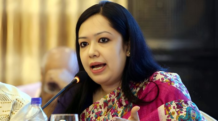 রুমিন ফারহানা, বিএনপি, নারী নেতৃত্ব, বাংলাদেশ রাজনীতি, আরপিও সংশোধন, নির্বাচনী রাজনীতি, রাজনৈতিক বিশ্লেষণ