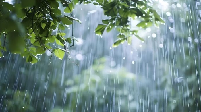 আজকের আবহাওয়া, ঝড়বৃষ্টি পূর্বাভাস, আবহাওয়া অধিদপ্তর, নোয়াখালী ঝড়, কুমিল্লা বৃষ্টি, চট্টগ্রাম কক্সবাজার, নদীবন্দর সতর্কতা, বজ্রবৃষ্টি