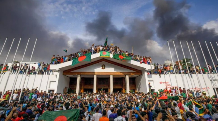 জুলাই গণঅভ্যুত্থান, দায়মুক্তি অধ্যাদেশ, জুলাই যোদ্ধা, আইনি সুরক্ষা, গেজেট প্রকাশ