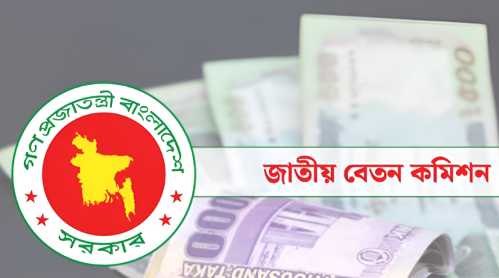 বেতন কমিশন, পে স্কেল, পেনশন, সরকারি চাকরি, অর্থনীতি